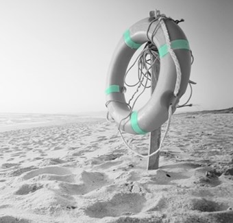 Professional and Certified Lifeguard Services